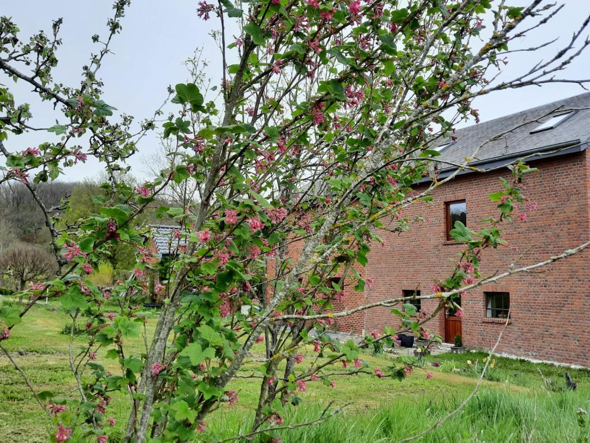 Aux Saveurs D'Enneille Bed & Breakfast ดูร์บี ภายนอก รูปภาพ